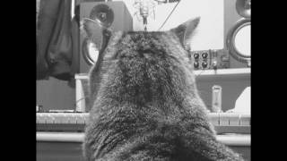 Get Up/MONOEYES Acoustic cover