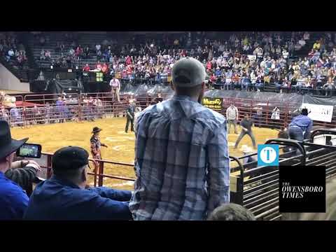 Bull Goes Bonkers On People Who Are Trying To Ride It For $100 During Radio Contest