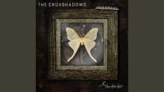 Dragonfly (Video/Radio Edit)