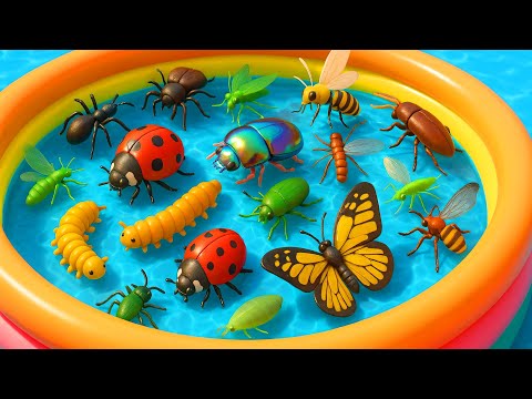 Kids Learn Bugs homes with Toys & Real Insects | Bugs names & Homes | Preschool Learning