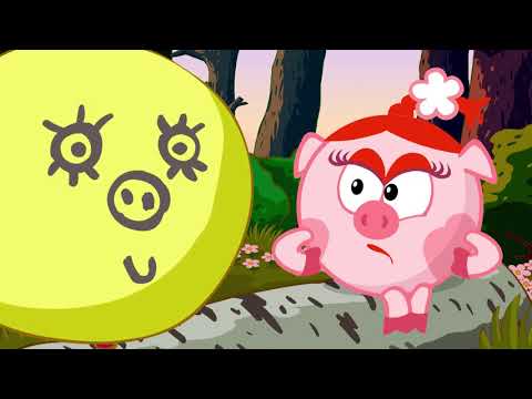 The Boycott - KikoRiki | Cartoon for Kids