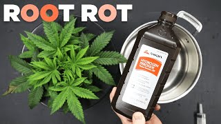 How to Remove/Prevent ROOT ROT Pythium - Hydrogen Peroxide(h2o2) Dunk Hydroponic System Hydroguard