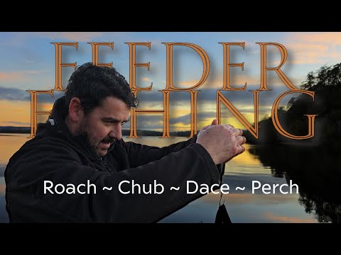 Big Water Feeder Fishing | How BIG a BAG can Alex build? | Roach Fishing | Scotland