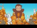 Curious George Pumpkin Adventures