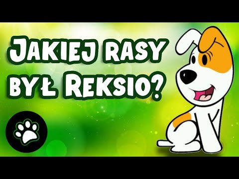 Reksio - Ciekawostki, Jakiej Rasy Był Reksio? Najciekawsze Fakty.