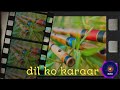dil ko karaar aaya || non copyright music || best hindi ringtone ||