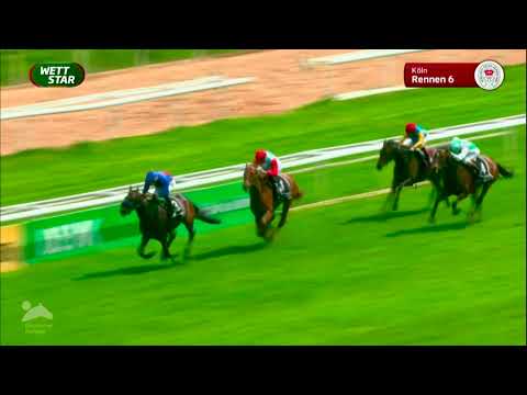 Assistent siegt in Köln im Grupperennen