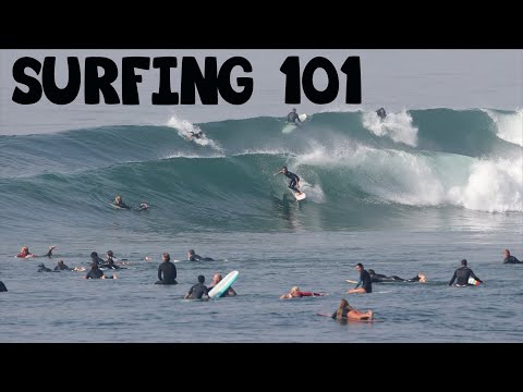 Surfing for Dummies. Just the basics