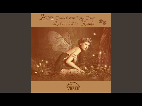 Fairies From The Magic Forest (Etasonic Remix)