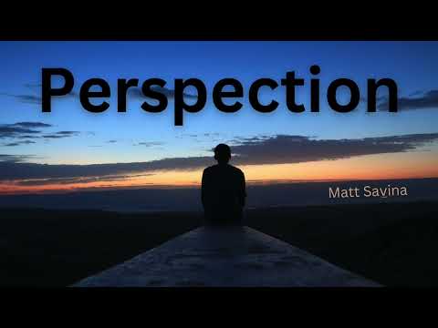 Perspection - Matt Savina