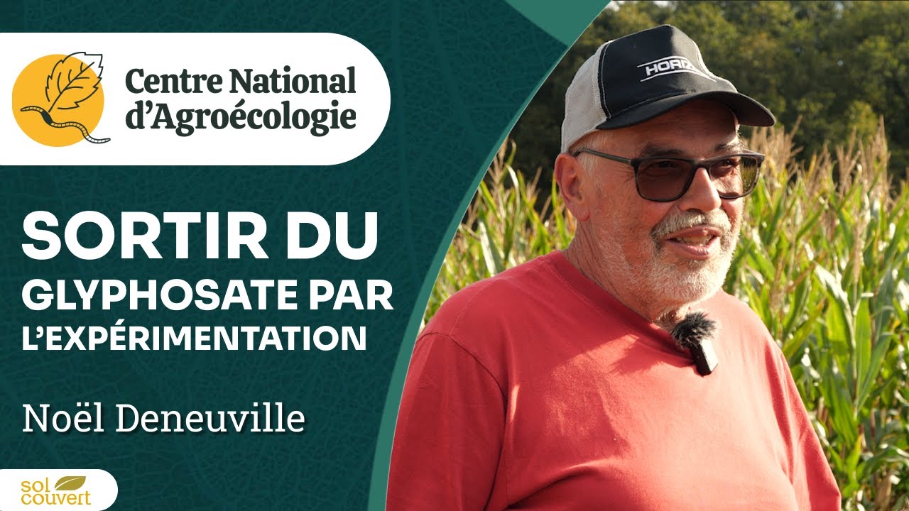 Remplacer le glyphosate  Retour d'essais chez Noël Deneuville - Journée Séguy 2024 - CNA