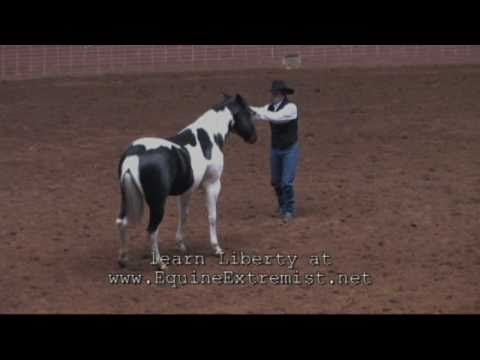 Tommie Turvey Waltzing with Horse at Liberty