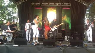 Chic Tribute Band - Till The World Falls