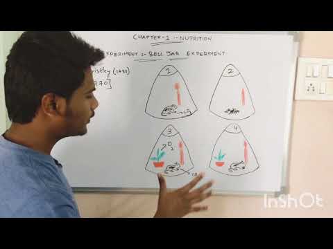 PHOTOSYNTHESIS BY PHANINDRA