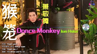 萧敬腾 JAM HSIAO - 猴籠 DANCE MONKEY『中文版』【動態歌词Lyrics/超高音质】🎵TikTok