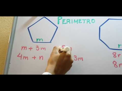 Perímetros algebraicos