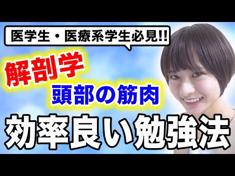 医学科 【解剖学】解剖学を効率よく学ぶためのヒント(頭にある筋肉)