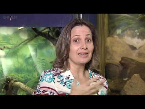 Zoologia dos Vertebrados - Aula 05 - Animais e Culturas