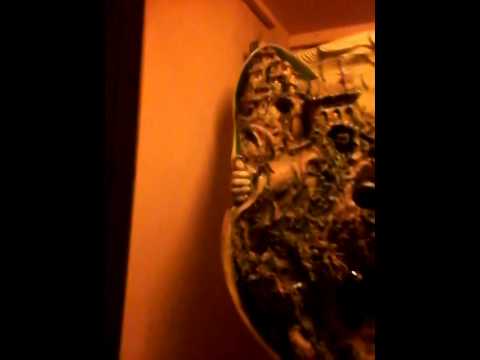 Viaggio a Montevergine