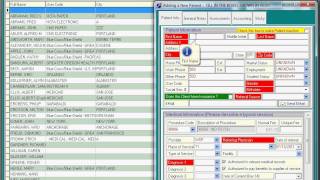 DELPHI/PBS Intro to Adding a Client.avi