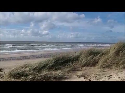 Psalm 45 vers 7 - Pieter Heykoop