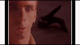 REAL LIFE - Open Hearted