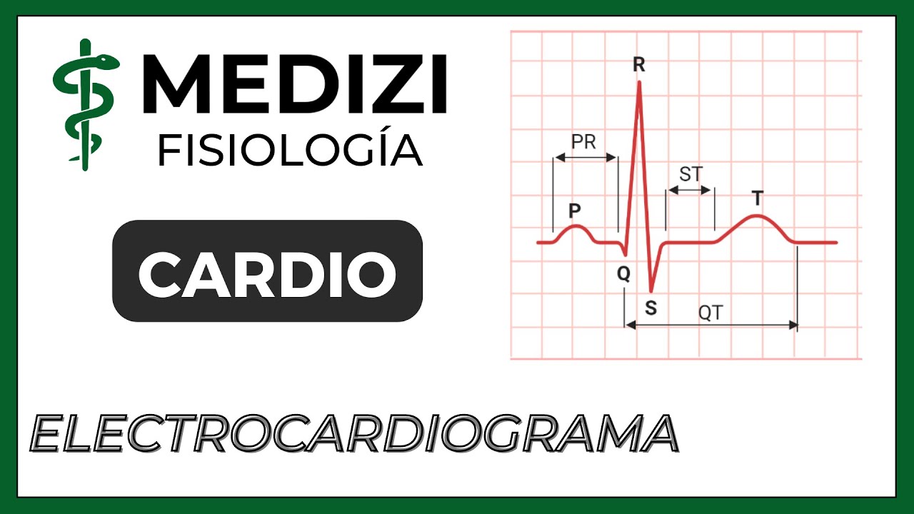 Clase 21 Fisiologia - Electrocardiograma Normal (IG:@doctor.paiva)