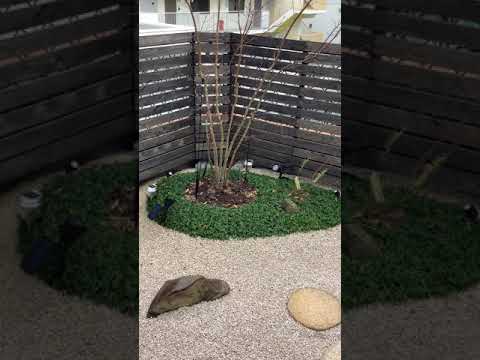 機能的で美しく、耐久性のある雨の庭を作るにはどうすればよいでしょうか?初心者向けの無料ガイド！  庭園