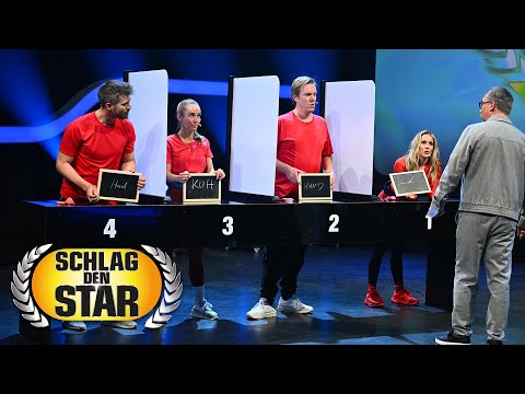 Vier Doofe – ein Gedanke | ProSieben vs. SAT.1 | Spiel 9 | Schlag den Star