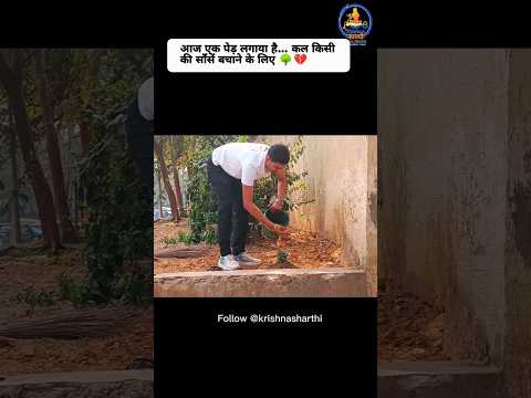 इतनी गर्मी में पेड़ लगाना क्यों ज़रूरी है
