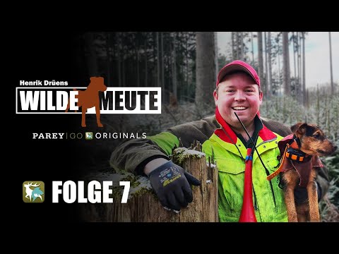 Henrik Drüen's Wilde Mote | Driven Hunt in the Eifel. Roe Deer, Wild Boars & the King of the Fore...
