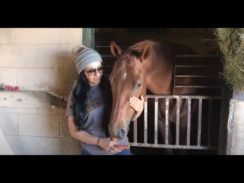 The Preview Show of the Los Alamitos Winter Series - January 29-30