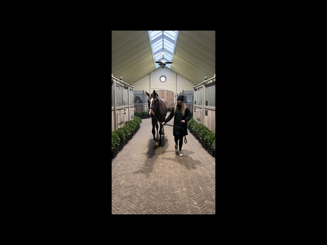 Ulana Prinseveld Dsc walk & 360