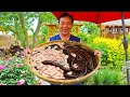 Huge Eel+Kidney Cook! Perfect Match, Wonderful Taste, Highly Nutrition | Uncle Rural Gourmet