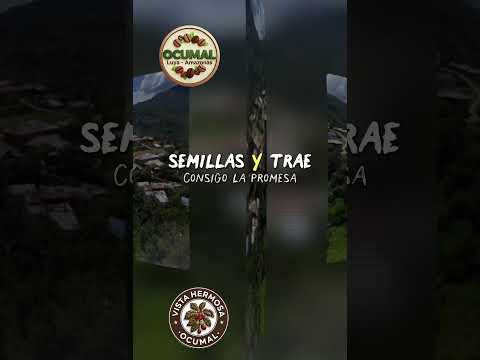 Vista hermosa-Ocúmal-Luya /Amazonas🇵🇪