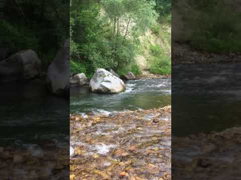 Video of the river near beach.