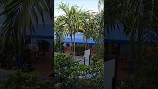 Rodeway inn courtyard #cruise