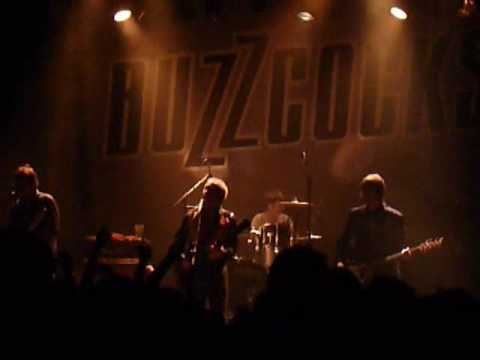 buzzcocks (Lyon,22/O3/09)