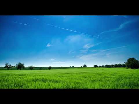 Thể hiện bởi Hương Thủy