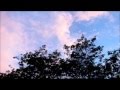 夏の終わりの夕空と南西の庭End of the Summer (E279) Dar Williams