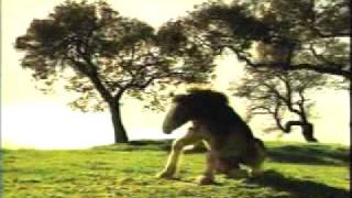 Budweiser  - "Dream"