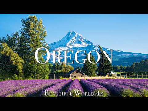 Oregon 4K Beautiful Nature Film - Morning Piano Music - Wonderful Nature