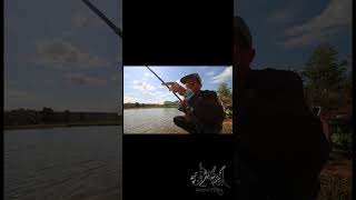 PIRARARA  38 KG VARA PRO AMENTAL