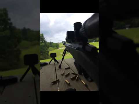 Seekins Precision Havak Rifle Review - Good \u0026 Bad