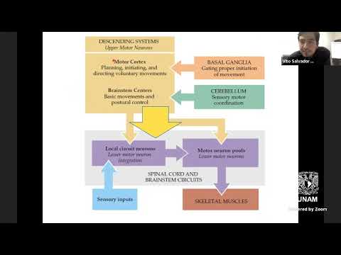 Ciclo de Conferencias de Neurofisiología: Control Motor