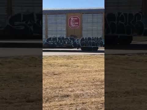 SAMER Tagged Freight #youtubeshorts #graffiti  #trainspotting