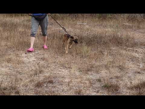 Vídeo de LUCY