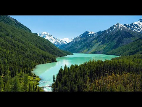 Top 15 Cooling Fragrances For Summer (2021)