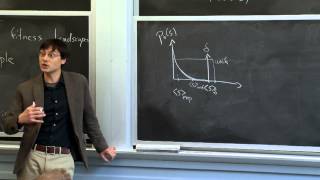 Fitness Landscapes and Sequence Spaces