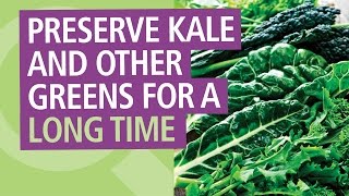 How To Preserve Kale and Other Greens for a Long Time